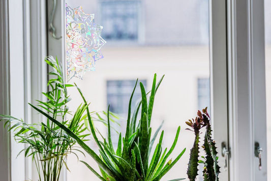 half mandala suncatcher, mandala window decal, rainbow maker, suncatcher for window, rainbow suncatcher sticker, window cling