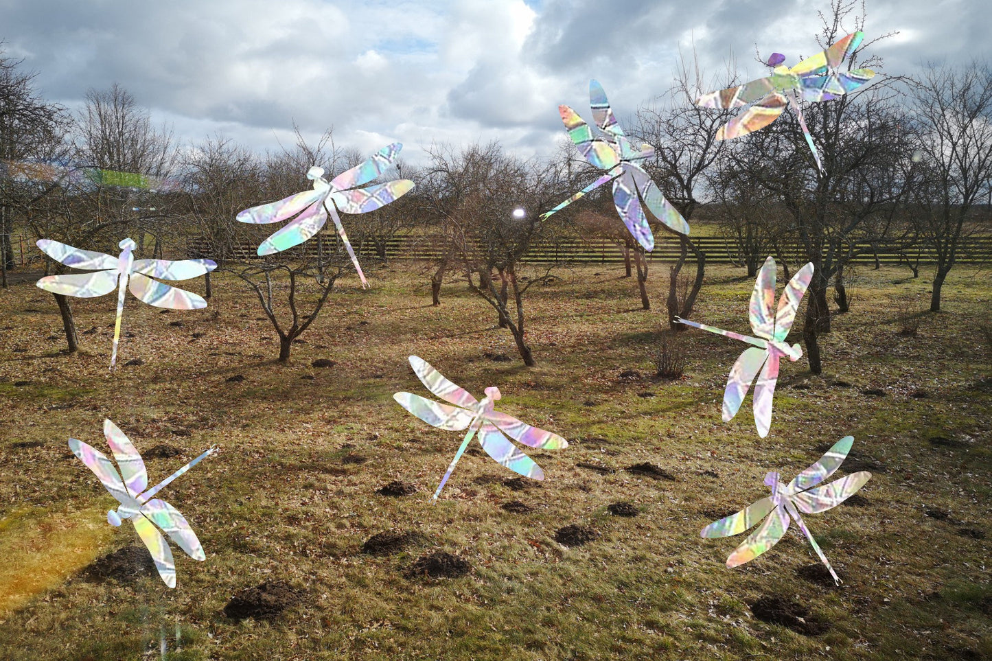 8 dragonfly suncatchers, dragonfly window decal, rainbow maker, suncatcher for window, rainbow suncatcher sticker cling