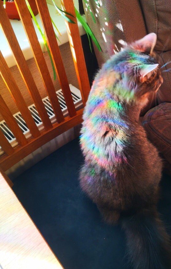 9 feathers suncatcher, feather window decal, rainbow maker, suncatcher for window, rainbow suncatcher sticker cling
